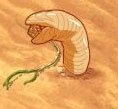 Earthworm